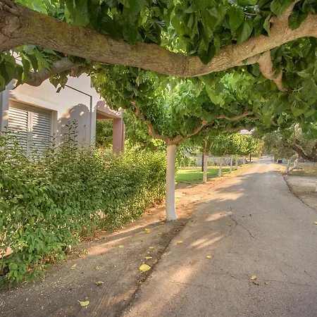 Natasa Studios Daire *